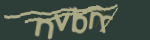 Enter the character string shown in the picture